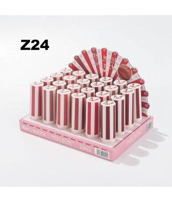 7301-029Z 3 group colors matte lipstick ,  24pcs in a display boxes