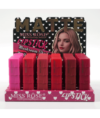 7301-011Z5 6 color lipstick 24pcs in display box