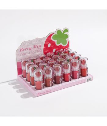 7701-022S24 24 color matte lipgloss ,24 pcs in display box