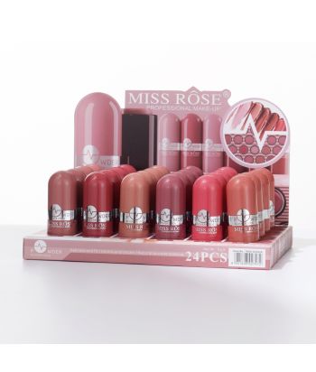 7004-013Z24 6color blusher stick ,24pcs in a display box