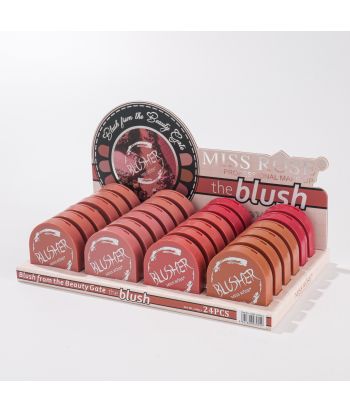 7004-109Z24 6color blusher ,24pcs in a display box