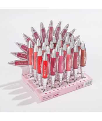 7701-411Z1 12 color Moisturizing lip gloss ,24 pcs in display box